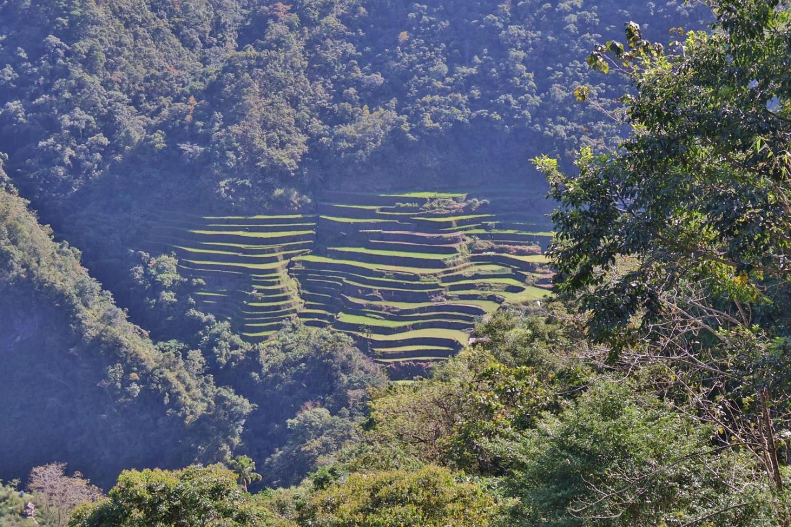 Batad Pension And Restaurant Banaue Exterior photo